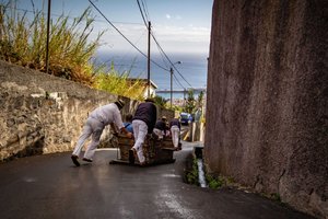 Madeira, za družine - 10004.jpg