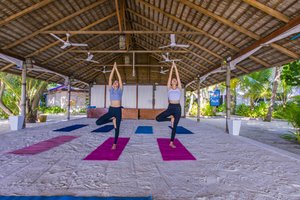 Maldivi otok Thinadhoo - 10131.jpg
