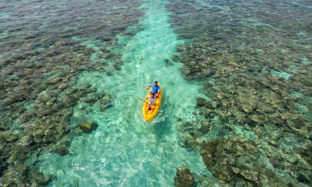 Maldivi otok Thinadhoo - 10138.jpg