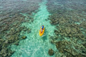 Maldivi otok Thinadhoo - 10138.jpg