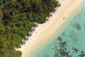Maldivi otok Thinadhoo - 10151.JPG