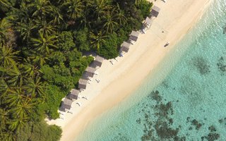 Maldivi otok Thinadhoo - 10151.JPG