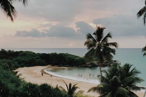 Tropske peščene plaže