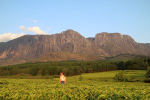 Malavi in Mozambik - 10974.JPG