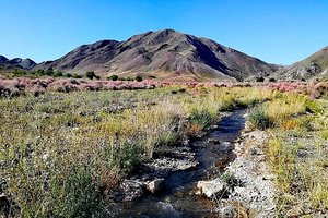 Kazahstan in Kirgizija - 10988.jpg