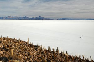 Otok kaktusov sredi Salar de Uyunija