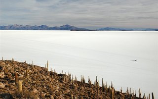 Otok kaktusov sredi Salar de Uyunija