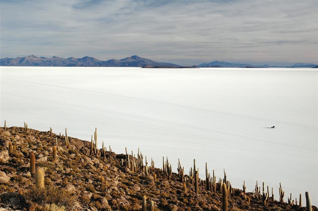 Otok kaktusov sredi Salar de Uyunija