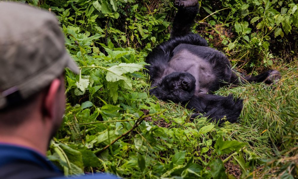 Uganda - 11440.jpg