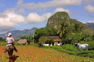 Najlepša pokrajina na Kubi, Vinales