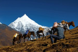 Butan in Indija - 11817.jpg