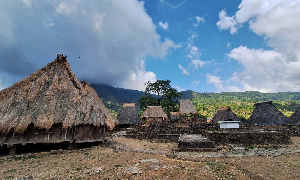 Indonezija: Timor in Flores - 12013.jpg