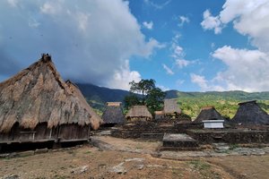 Indonezija: Timor in Flores - 12013.jpg