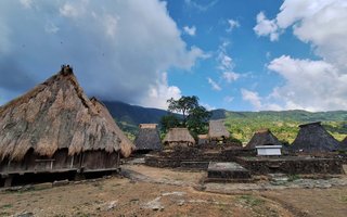 Indonezija: Timor in Flores - 12013.jpg