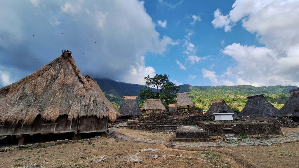 Indonezija: Timor in Flores - 12013.jpg