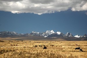 S poti ob jezeru Titicaca