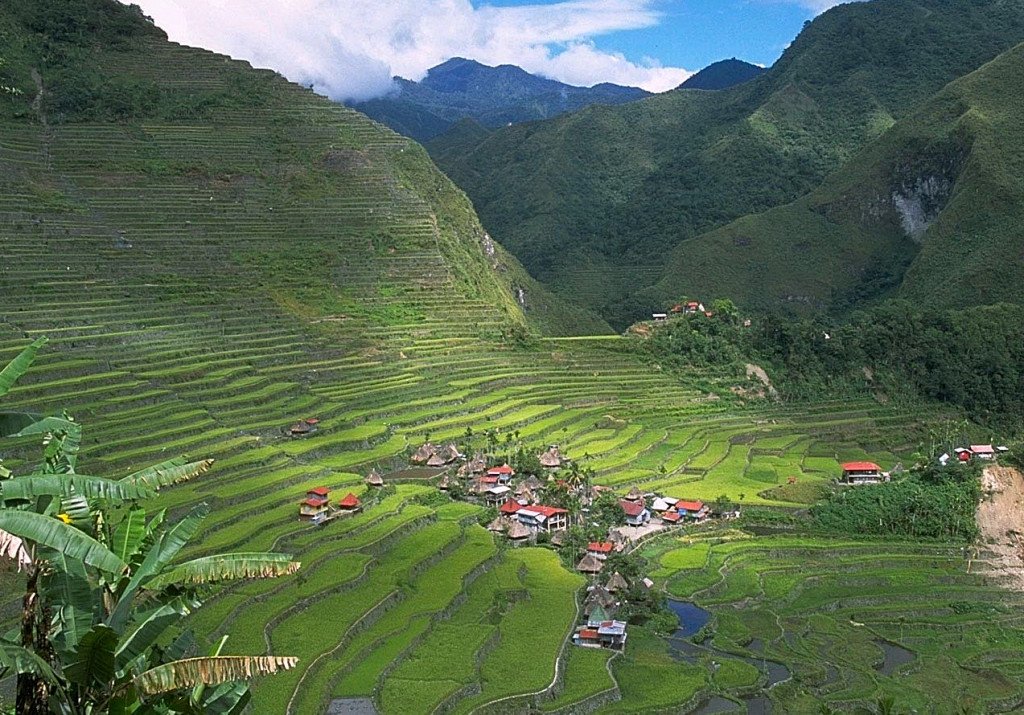 Riževa polja okoli Banaueja, Batad