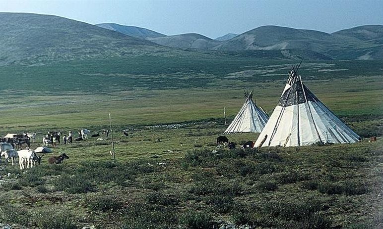 Ljudstvo Tsaatan živi v šotorih, daleč stran od turističnih poti
