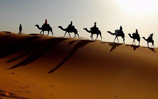 Slikovit kamelji safari na sipinah nad Nilom