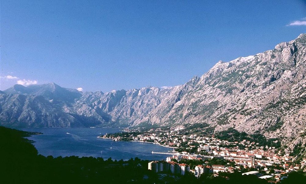 Kotor