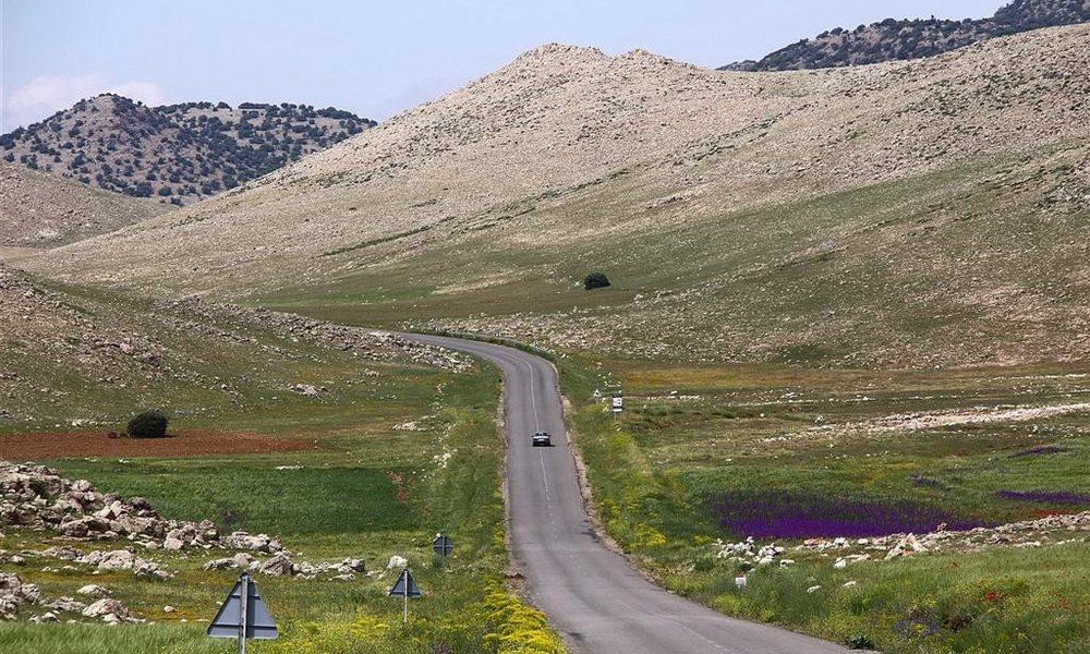 Roadtrip - scena s ceste