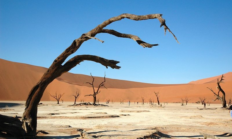 Dead Vlei, Namib desert