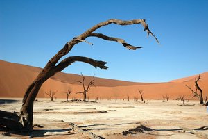 Dead Vlei, Namib desert