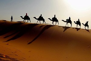 Slikovit kamelji safari na sipinah nad Nilom