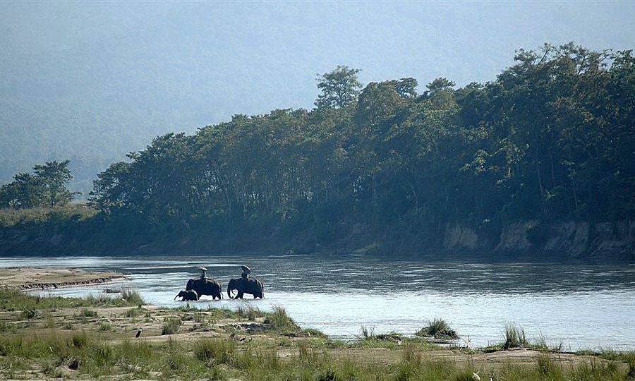 Safari na slonih, park Chitwan