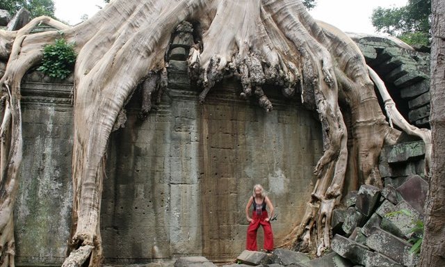 S koreninami preraščeno svetišče Angkor Wata