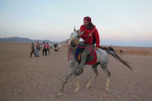 Egipt: Sinaj in Dahab Xpress - 4211.jpg