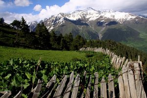 Visoki Kavkaz, Svaneti