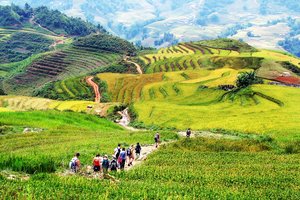 Sapa, treking po riževih poljih, spoznavanje plemen in tržnic