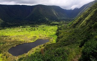 Ena izmed mnogih prezelnih dolin otoka Big Island, dolina Waipio