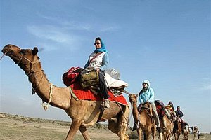 Kamelji safari v puščavi, kjer se najprej podimo z jeepi, po kamelah pa spimo na sipinah