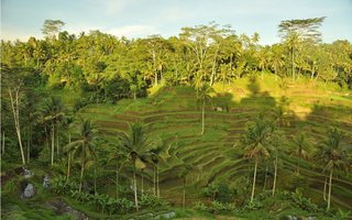 Indonezija Xpress2: novoletna Bali in Lombok - 6004.JPG