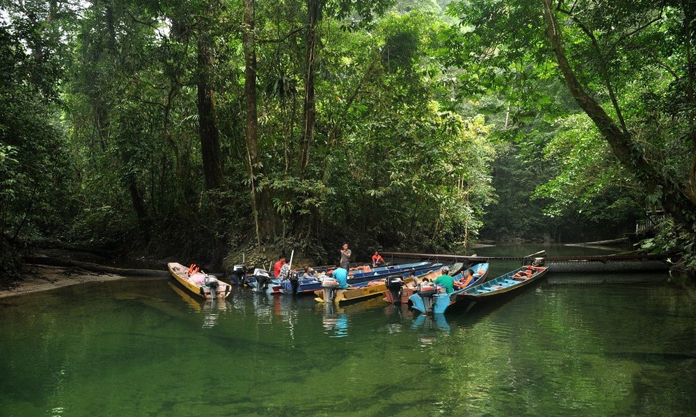 Nacionalni park Gunung Mulu