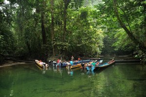Nacionalni park Gunung Mulu