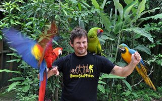 Na Macaw mountainu
