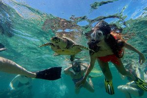 Maldivi , za družine - 6784.JPG