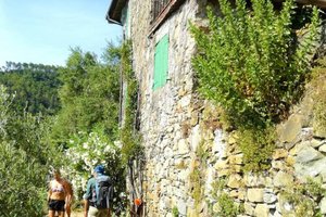 Cinque Terre in Cinque Tramonti, Italija - 6792.jpg