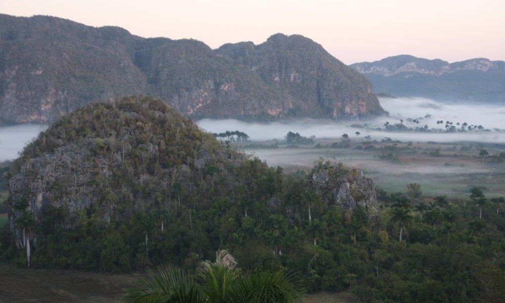 Vinales