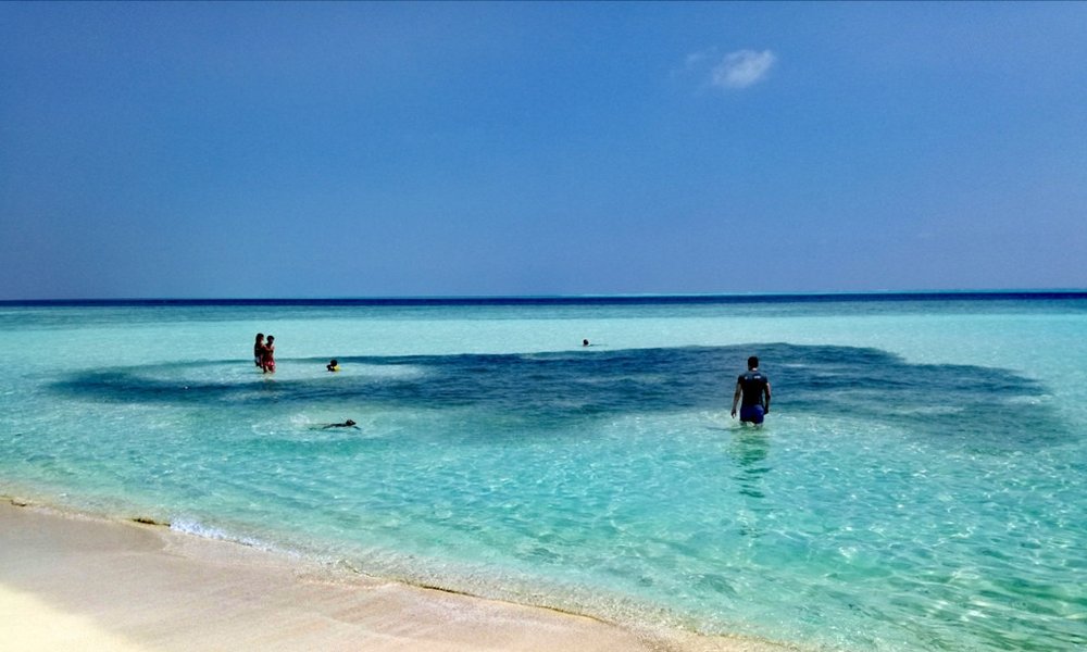 Maldivi otok Fulidhoo, za družine - 7153.jpg