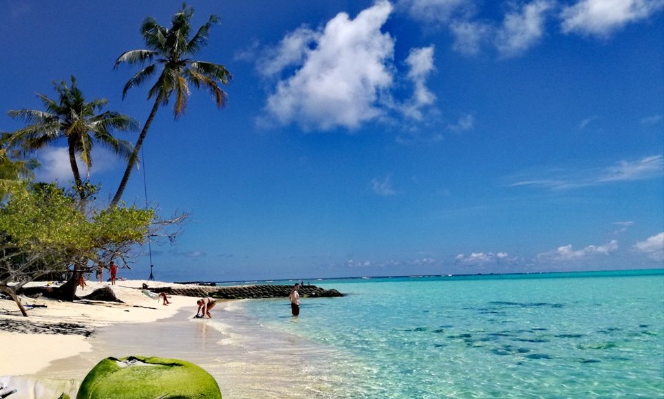 Maldivi otok Fulidhoo, za družine - 7167.jpg
