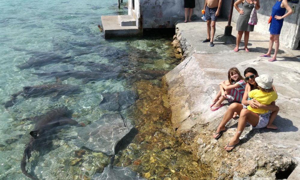 Maldivi otok Fulidhoo, za družine - 7170.jpg
