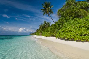 Maldivi, mix lokalnega otoka in resorta - 7193.jpg