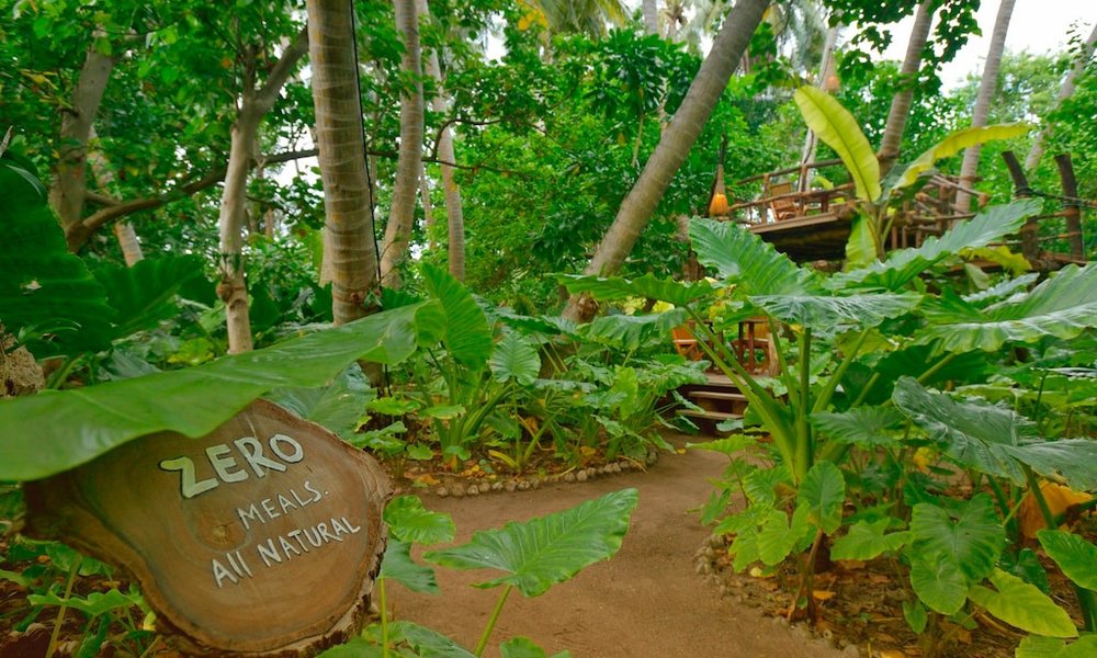 Maldivi, mix lokalnega otoka in resorta - 7199.jpg