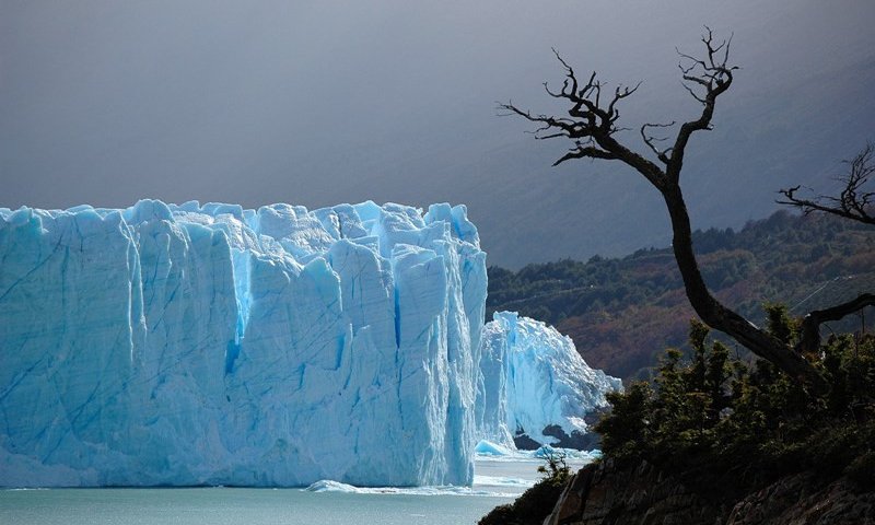 Argentina Xpress - 7260.jpg
