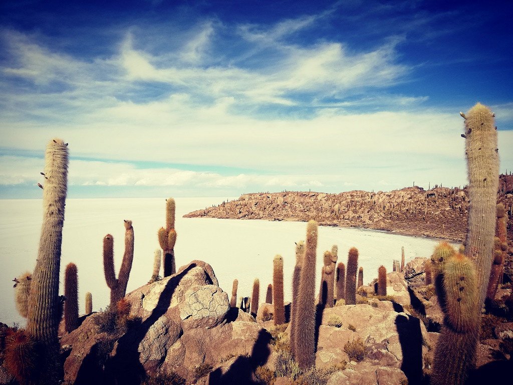Argentina in Bolivija - 7394.jpg
