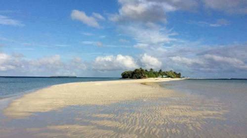 Maldivi otok Rasdhoo - 7414.jpg